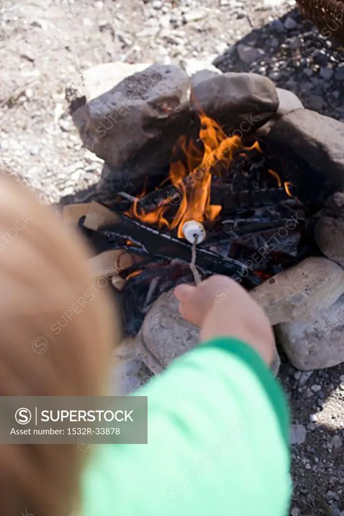 Child grilling marshmallows over camp-fire