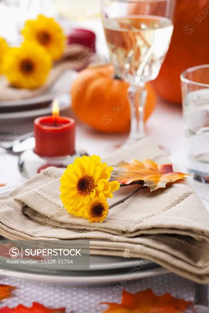 Autumn Table Setting; Thanksgiving