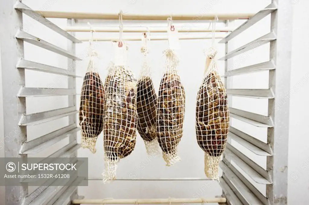 Coppa Pork Hanging in a Curing Room