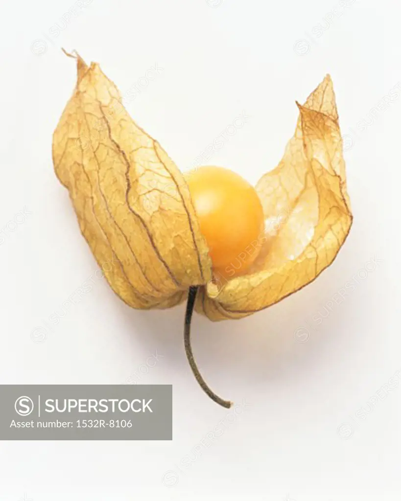 A Cape Gooseberry