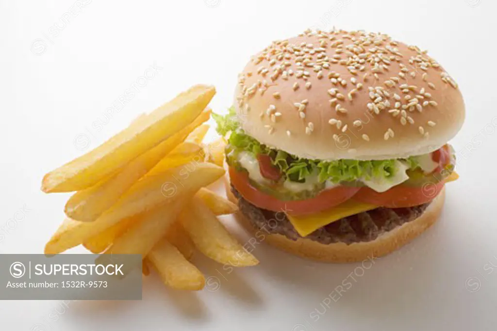 Cheeseburger and Fries on a Plate