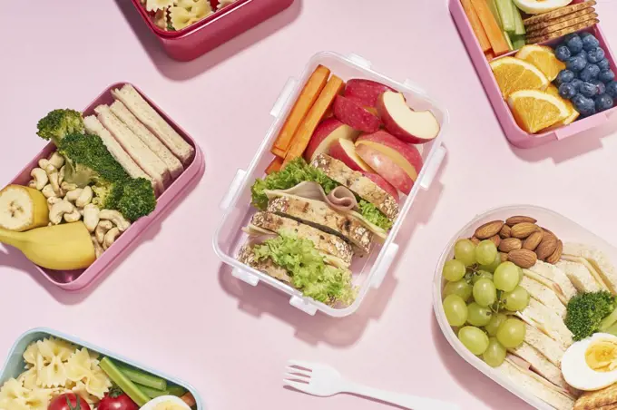 School lunchboxes with various healthy nutritious meals