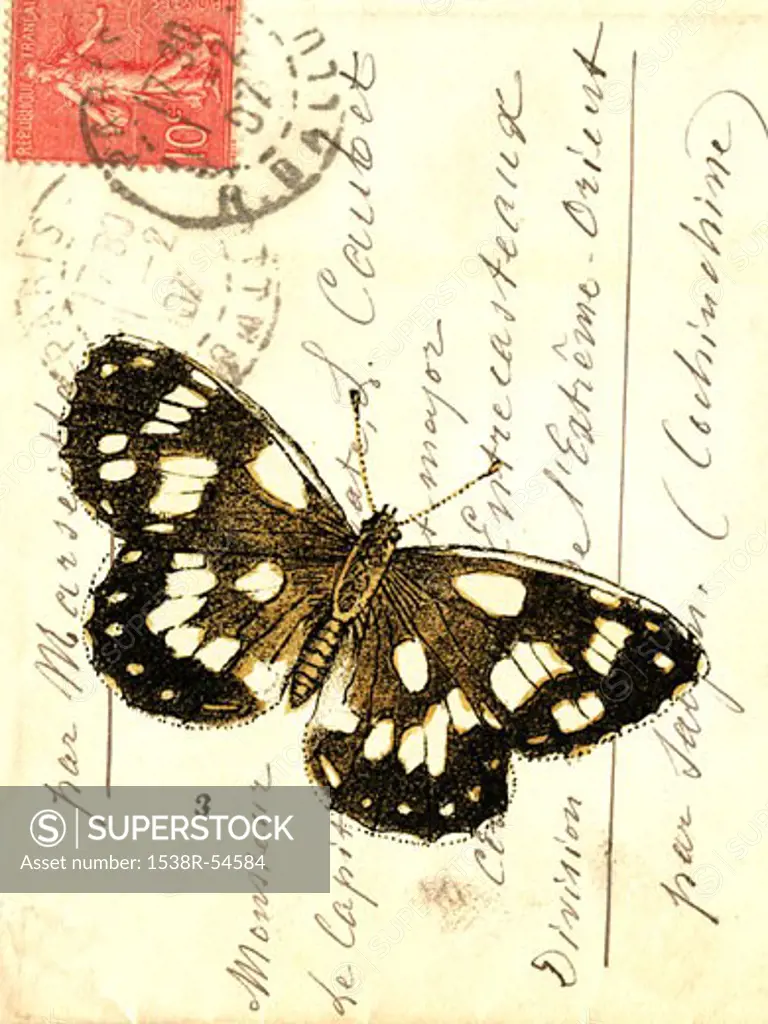 An old envelope with stamps from France, handwriting, and a butterfly