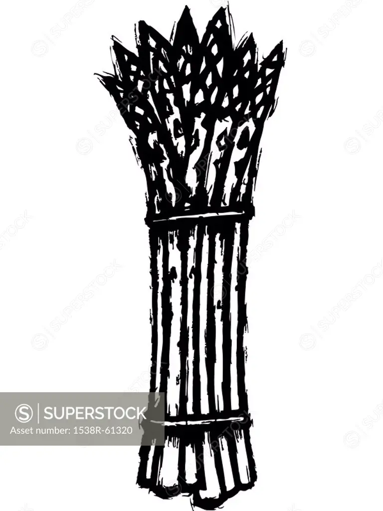 An asparagus bunch represented in black and white