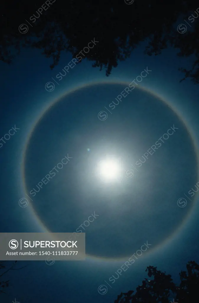 solar halo , kanha , madhya pradesh , india