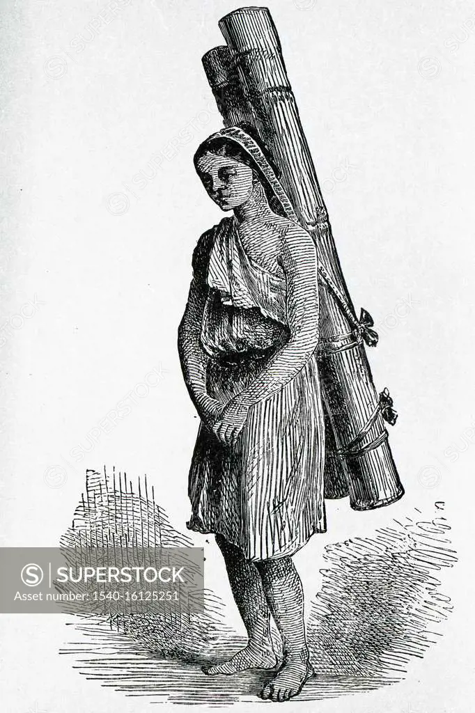 Drawing of lepcha girl carrier with a bamboo at Sikkim  ; India 