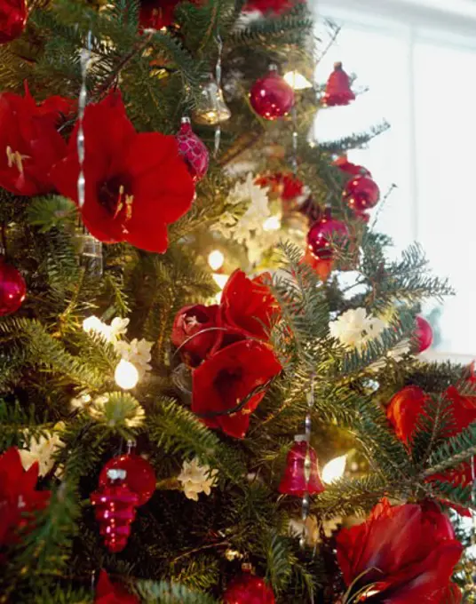 Close-up of a Christmas tree decorated with flowers and Christmas lights