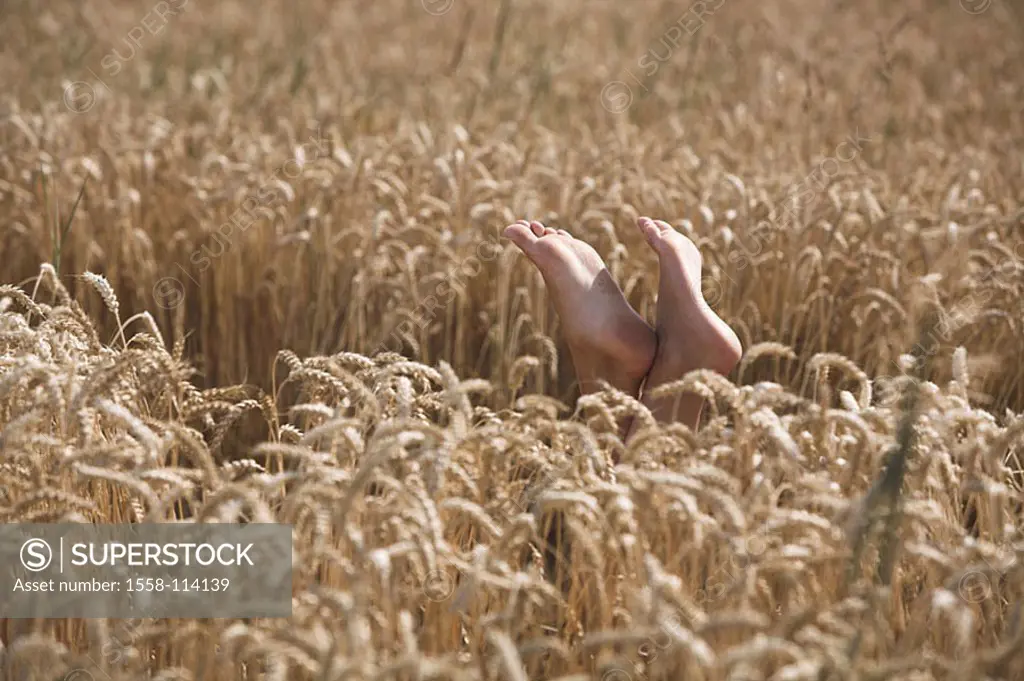 Grain-field, women-feet, people, woman, feet, high-stretches, barefoot, summers, outside, sunny, enjoys, leisure time, relaxen, relaxation, rests, nat...