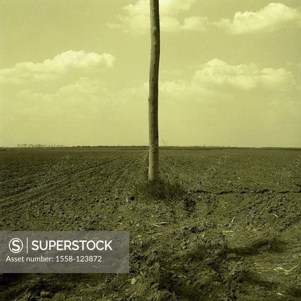 Field-landscape, wood-masts, monochrome, landscape, field, field, potato-field, potato-field, masts, stream-masts, horizon, heavens, wideness, distanc...