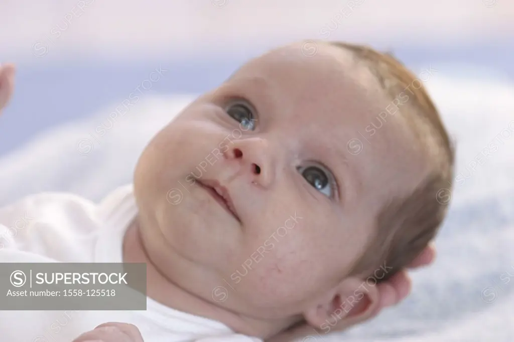 Baby, portrait, series, people, 4 weeks, infant, child, childhood, innocently, naturalness, interior,