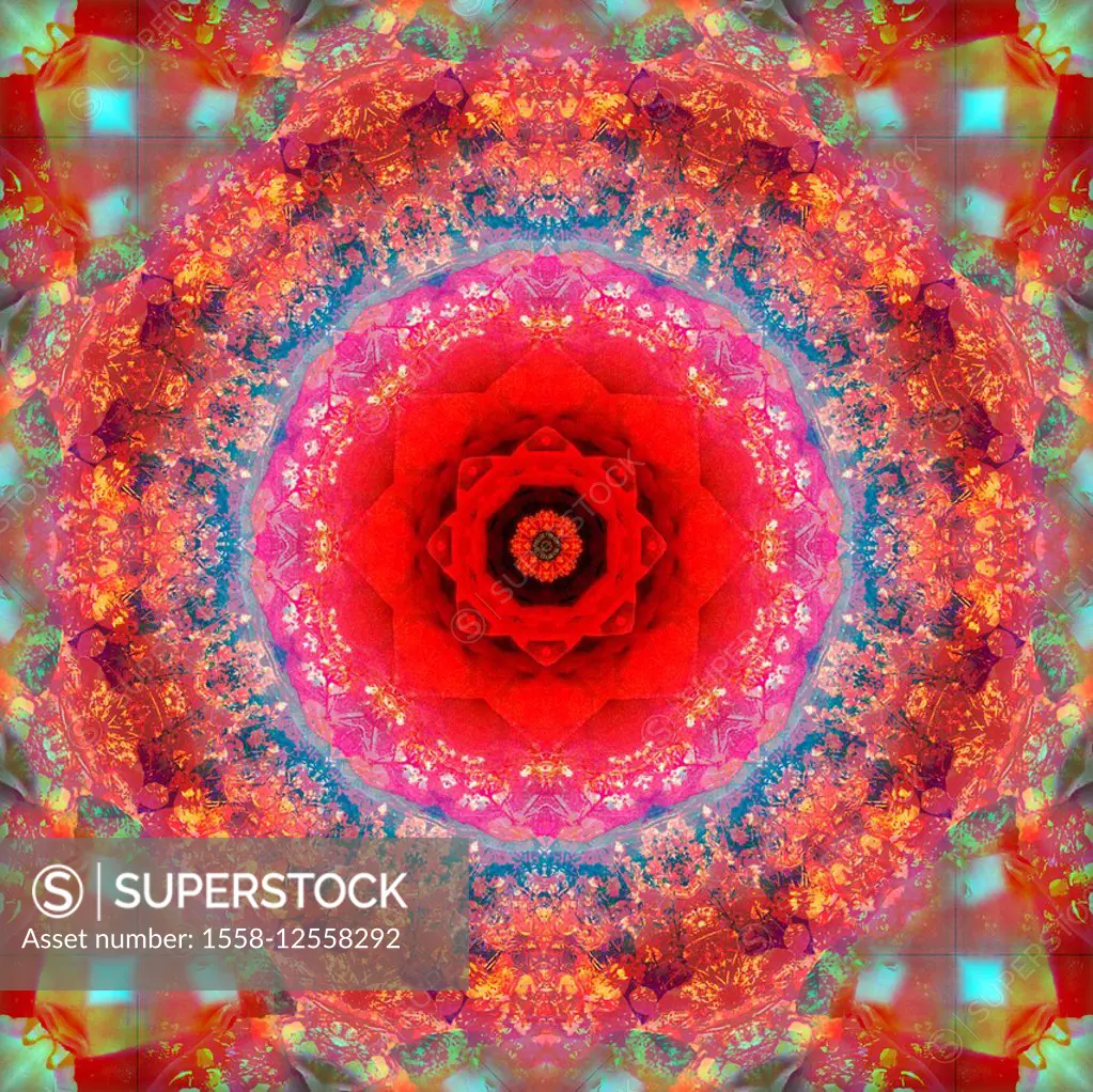 a mandala from rose and cherry blossom photographs