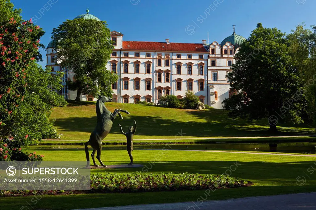 Germany, Lower Saxony, Celle, castle and monument, stallion 'Wohlklang', liberty dressage,