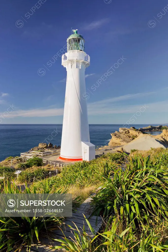 Castle Point lighthouse, Wellington, north Island, New Zealand