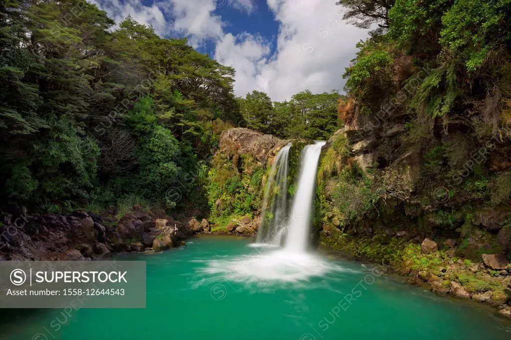 Tawhai Falls, Tongariro National Park, Manawatu-Manganui, north Island, New Zealand