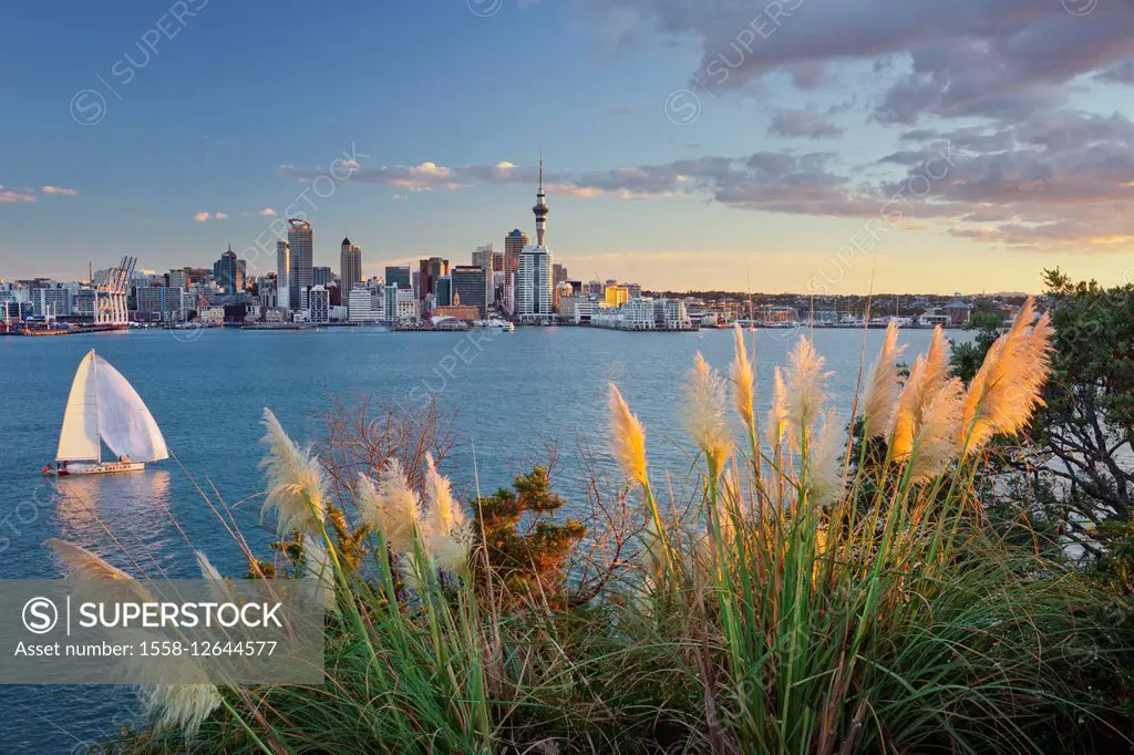 Stanley Bay, sailboats, skyline of Auckland, north Island, New Zealand