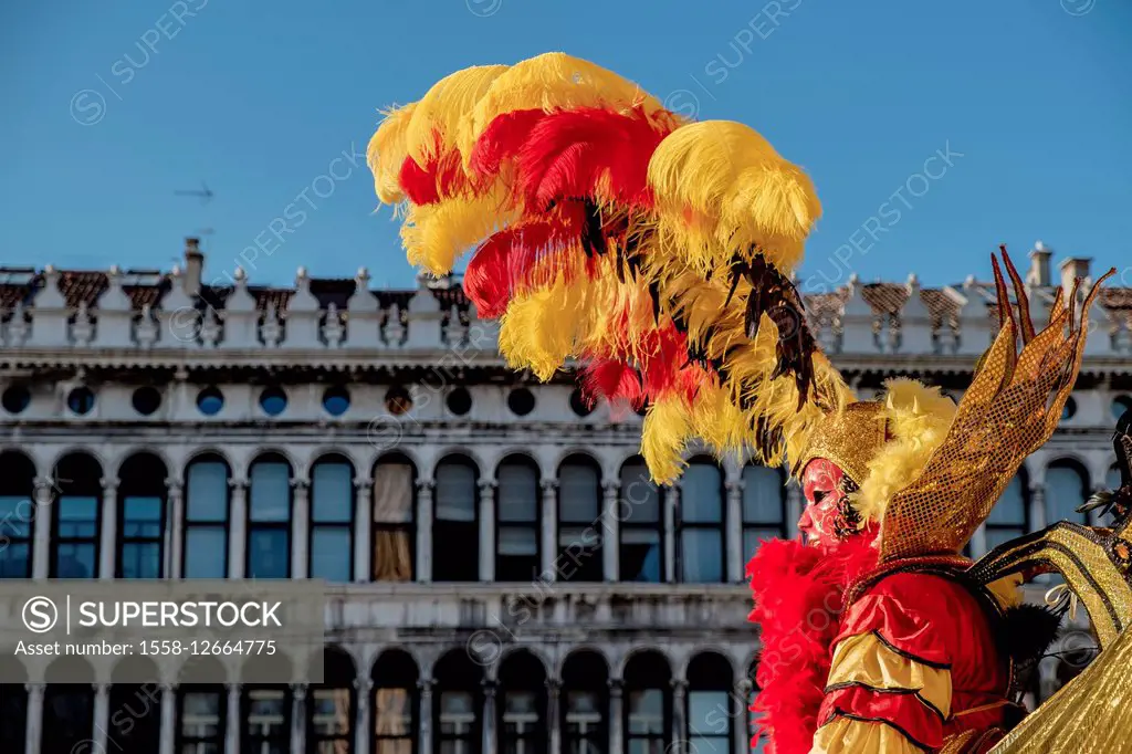 Carnival of Venice in St. Mark's Basilica, Piazza San Marco, San Marco, Venice, Veneto, Italy