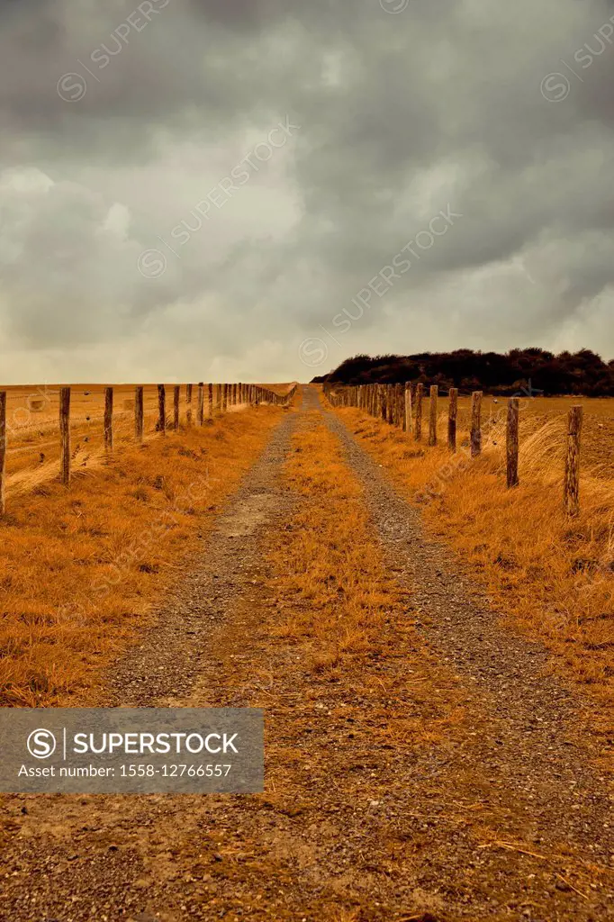 Country lane in autumn