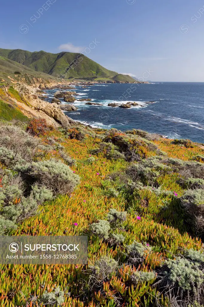 Big Sur, Cabrillo highway 1, California, USA