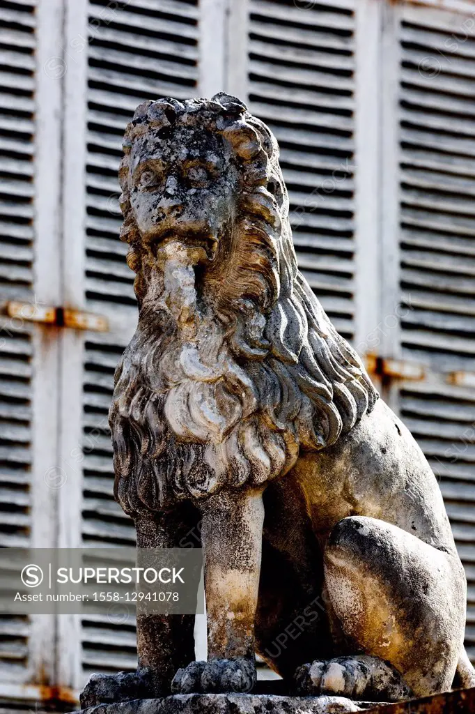 Stone lion