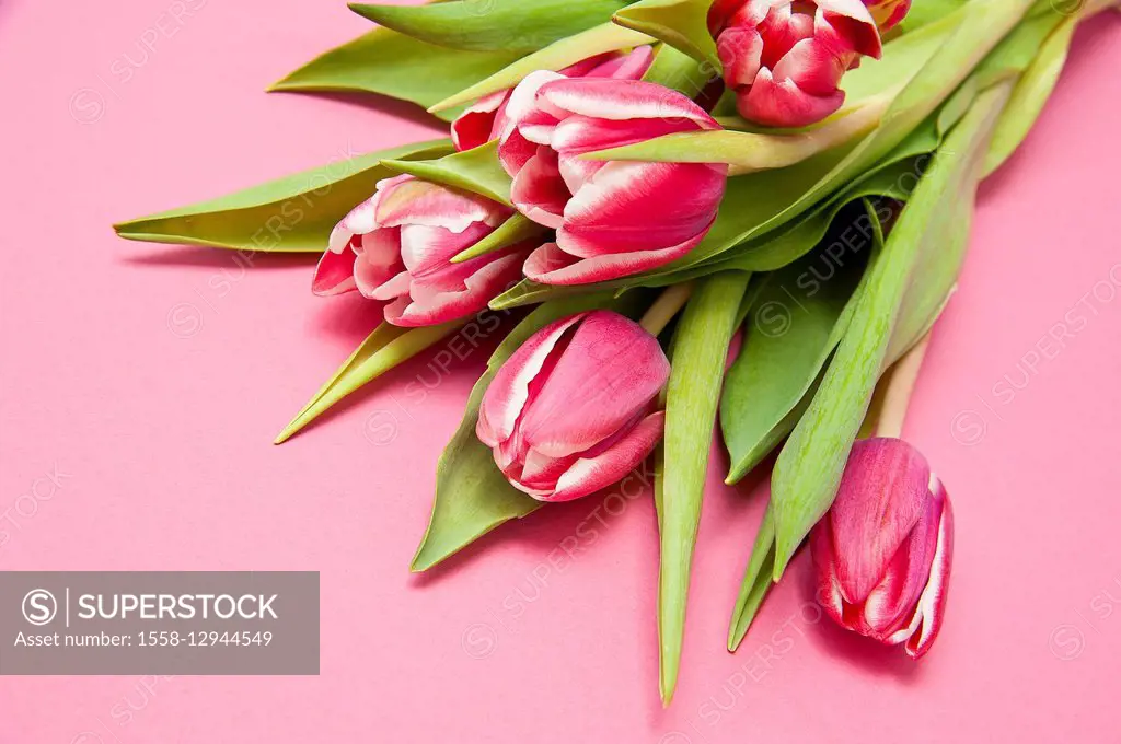 Bouquet, tulips, pink, table,