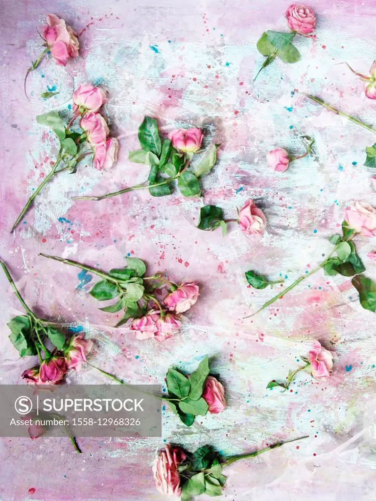 poetic photomontage of pink roses on painted ground with textures of floral ornaments