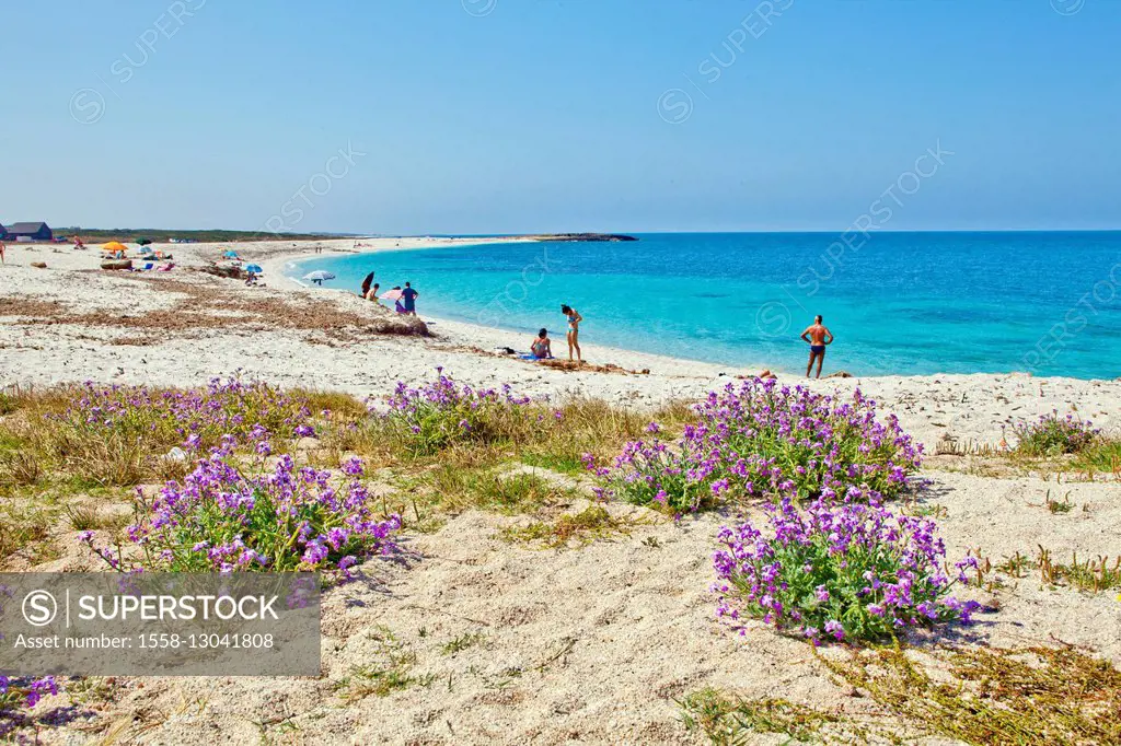 Spiaggia di Riso' (beach) on the island of Sardinia,