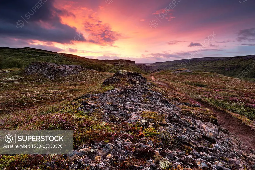 Tundra, mood, light, flowers, vegetation, evening, sundown, clouds, colour, loneliness, width,