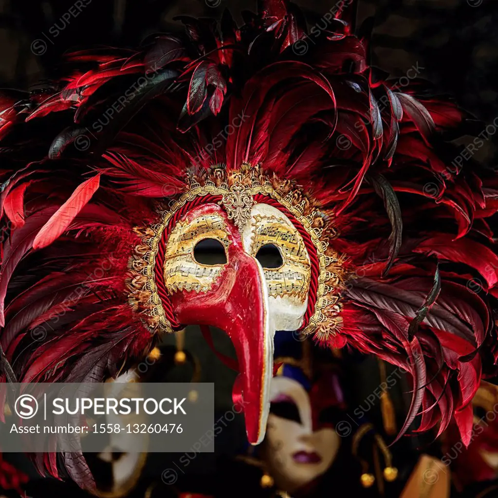 Carnival in Venice, Italy, Veneto, mask,