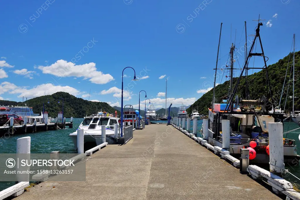 Jetty with Boats, Picton, Marlborough, South Island, New Zealand