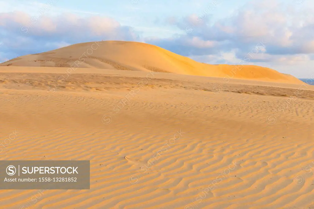 Sand Dune, Rubjerg Knude, Løkken, Lokken, North Jutland, Denmark