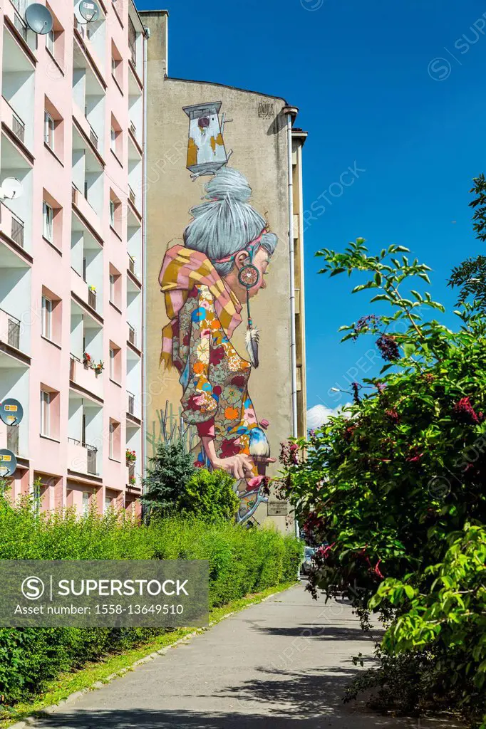 street art,murals,lodz murals,poland murals,street art poland,lodz,architectural style,central poland,architecture,building,city,urban,buildings,town,...