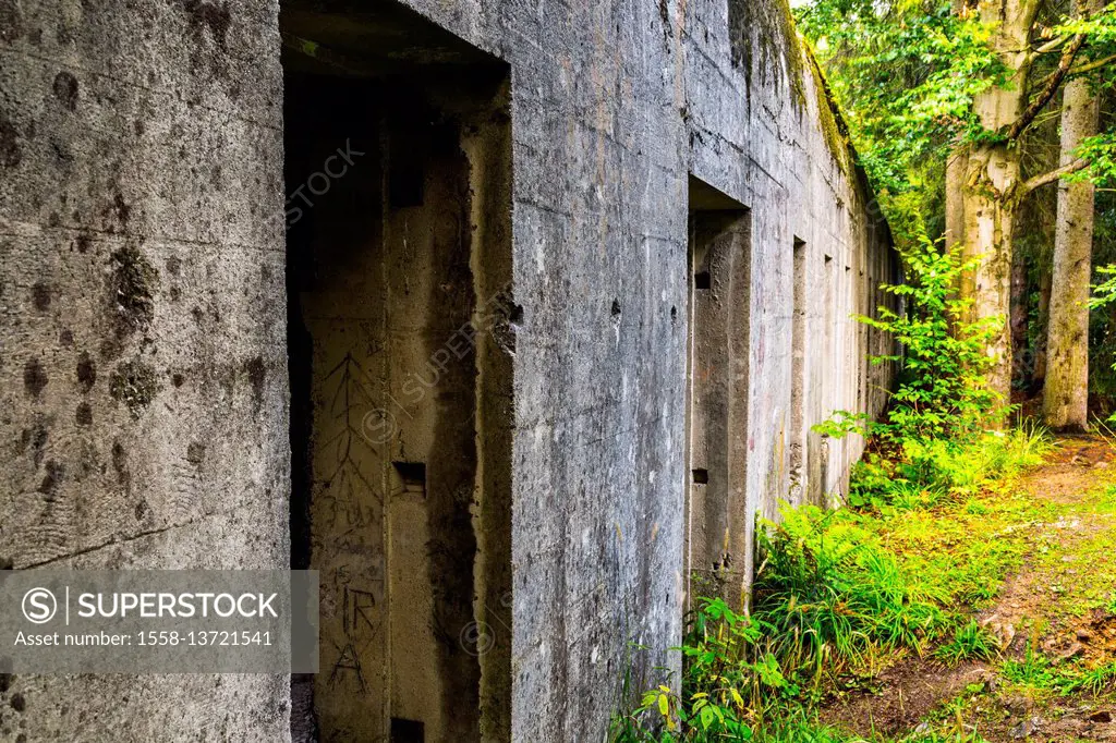 adist riese poland,attraction,attractions,building,bunker,complex osowka,exterior view,gospodarek mikolaj,historic center,historic center,historic cit...