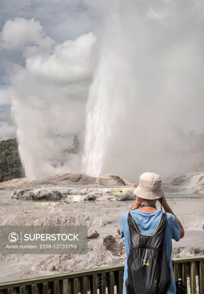 New Zealand, Commonwealth, North Island, Rotorua, geyser, fountain, Pohutu Geyser Whakarewarewa