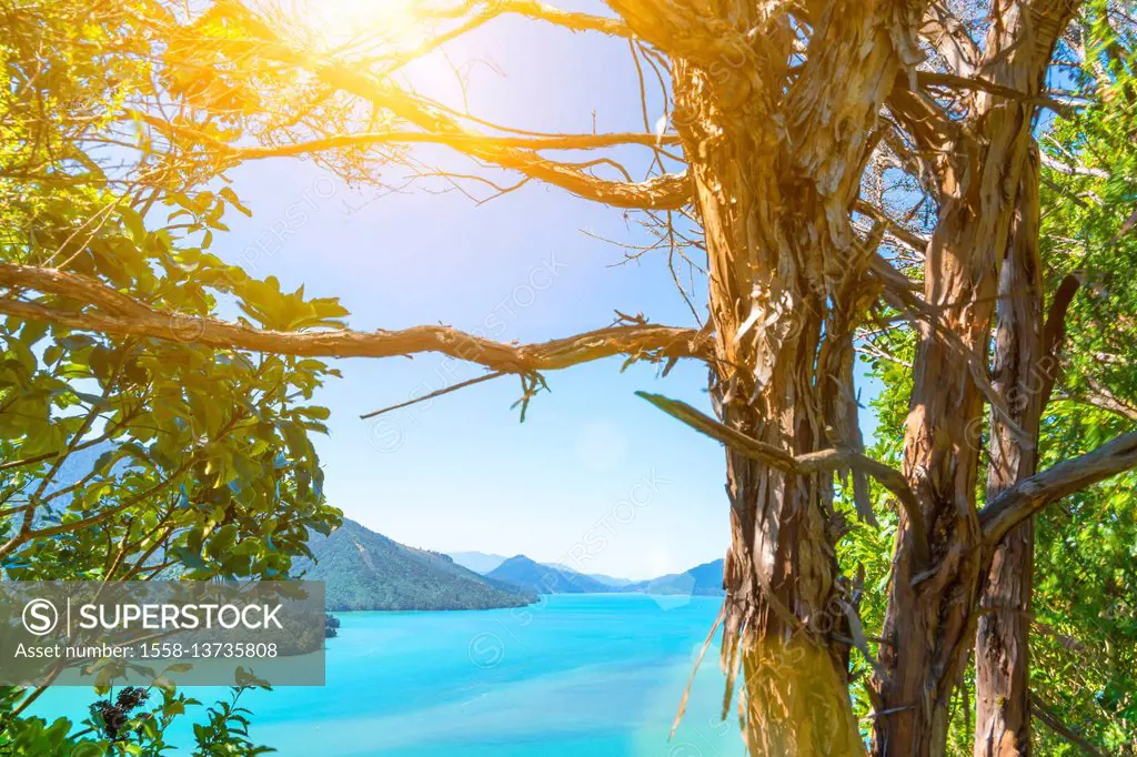 New Zealand, Commonwealth, South Island, Marlborough Sounds