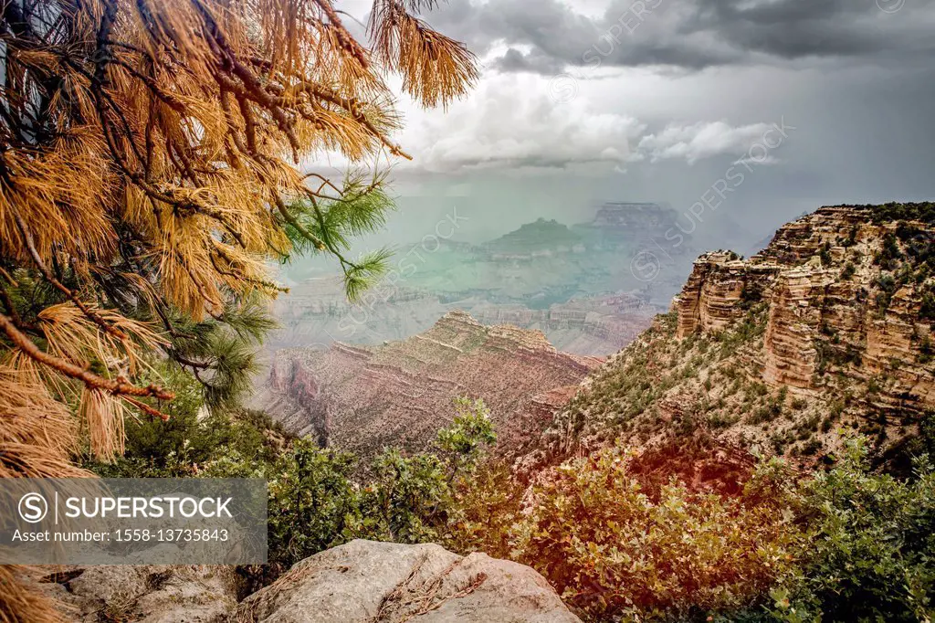 USA, Arizona, Grand Canyon National Park, Landscape, Grand Canyon