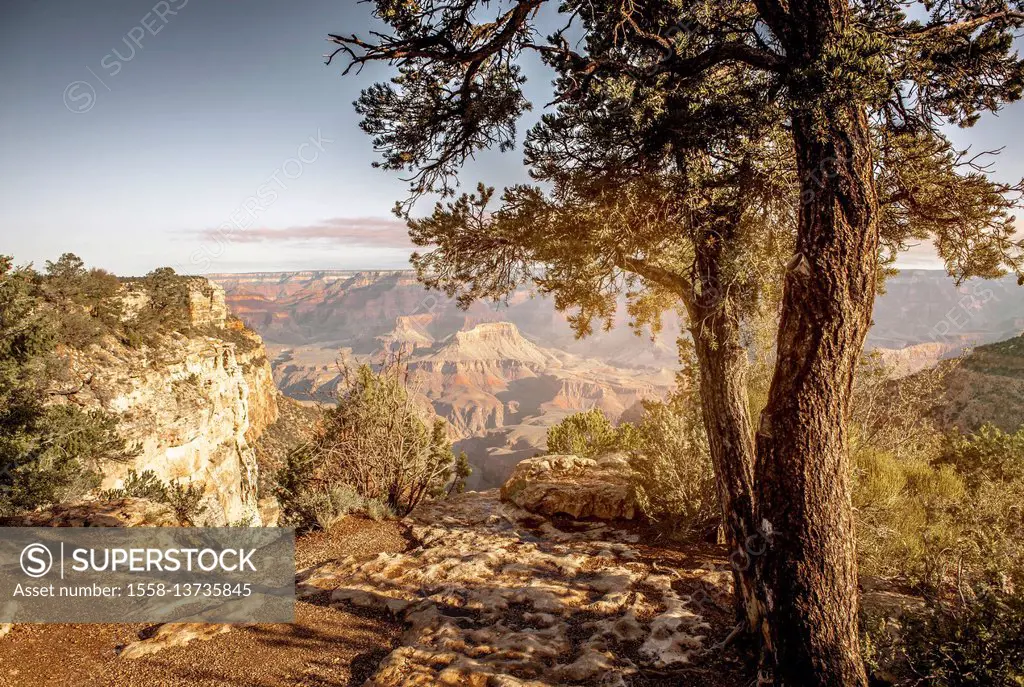 USA, Arizona, Grand Canyon National Park, Landscape, Grand Canyon