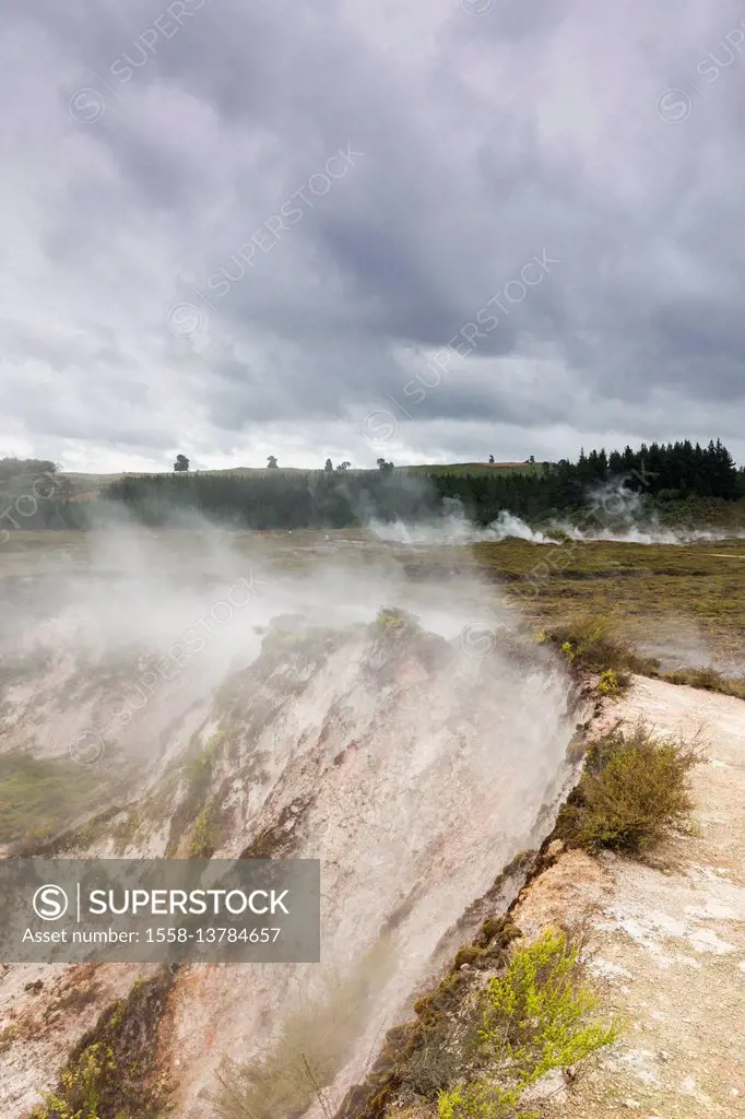 New Zealand, North Island, Taupo, Craters of the Moon, thermal park