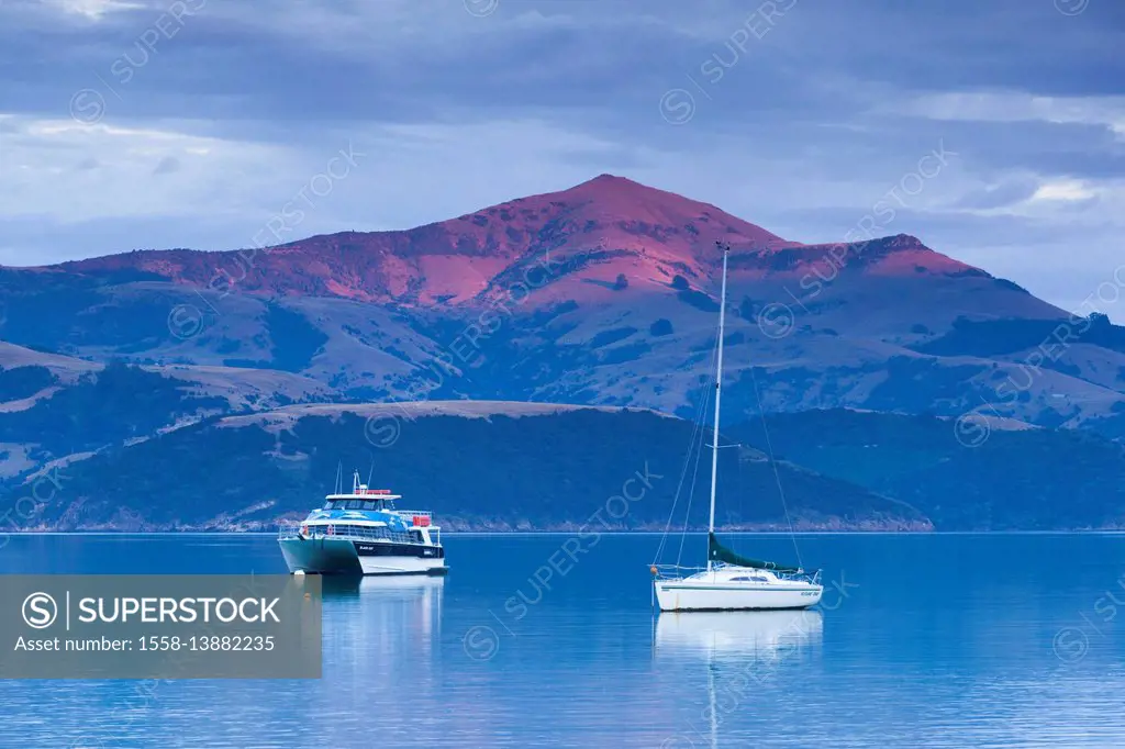 New Zealand, South Island, Canterbury, Banks Peninsula, Akaroa, Akaroa Harbor, dawn