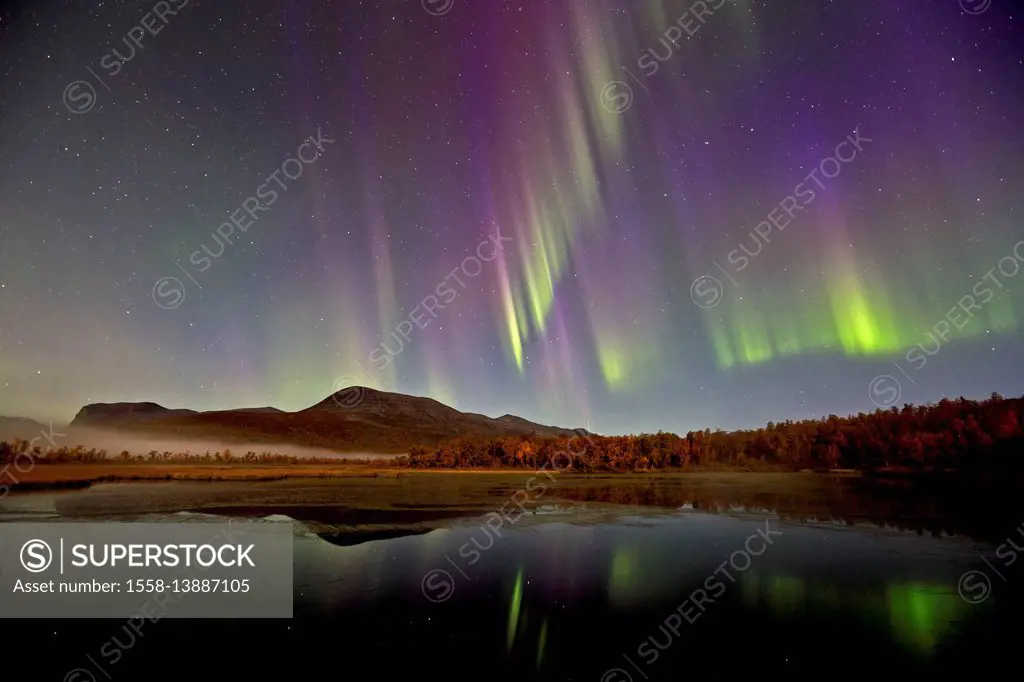 Europe, Sweden, Lapland, province of Norrbotten, aurora borealis about the Paittasjärvi,