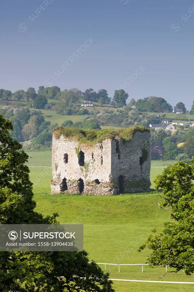 Ireland, County Kilkenny, Thomastown, Grennan Castle ruins