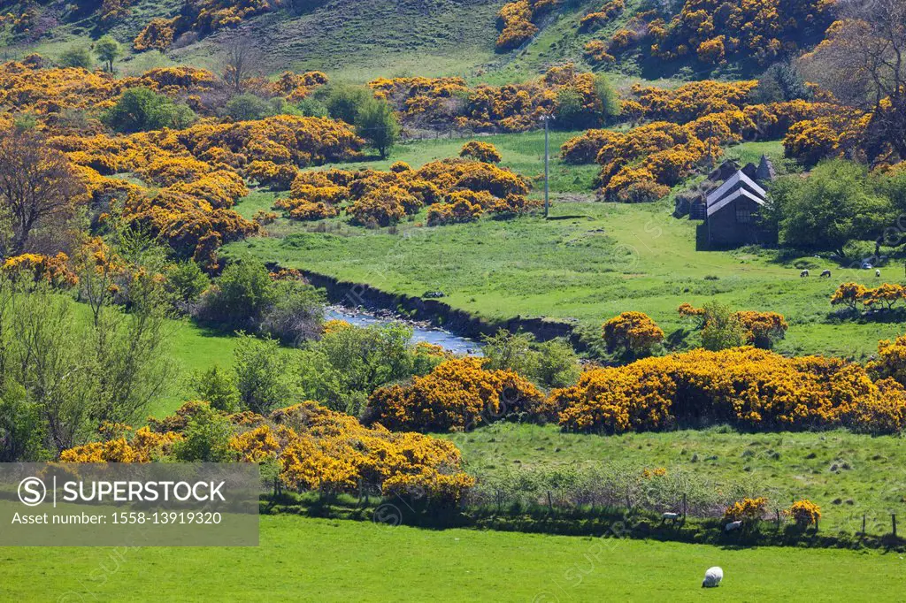 UK, Northern Ireland, County Antrim, Torr Head, Torr Head Scenic Road, coastal landscape