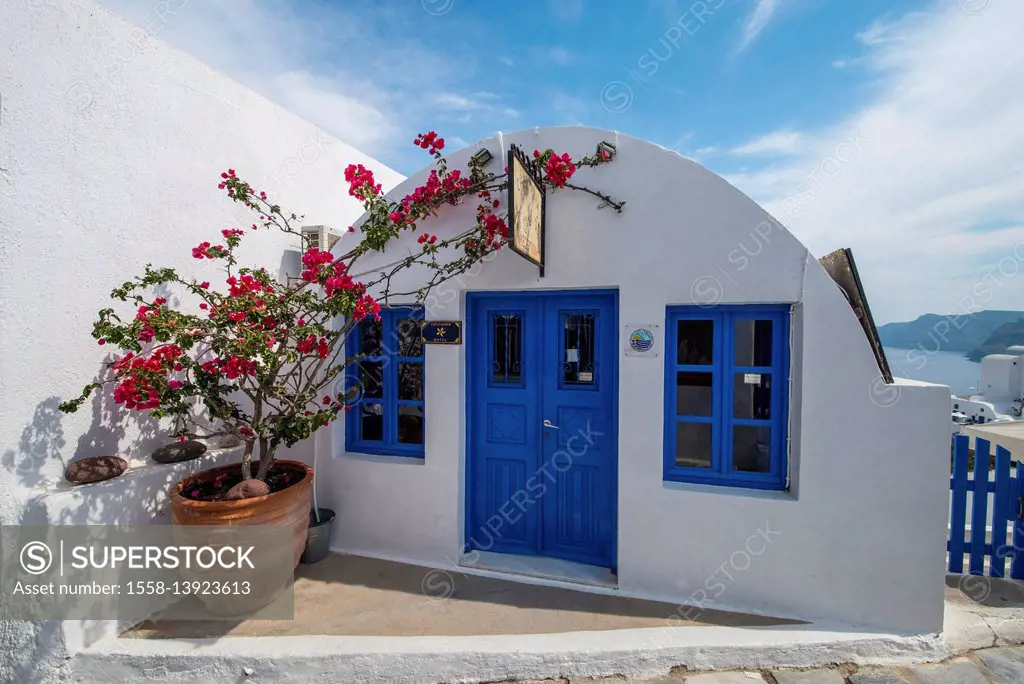 Small white house with plant, Santorin