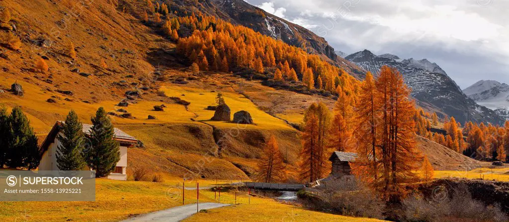 Switzerland, Oberengadin, late Autumn at the Fextal