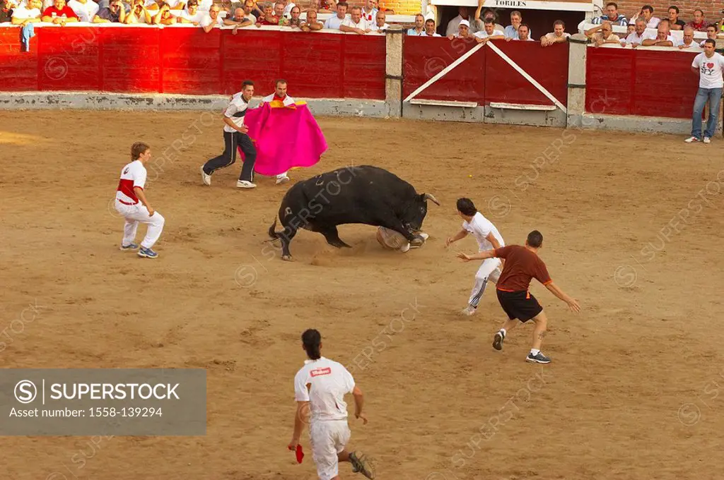 Spain, Madrid, bullring, people, bull, bull-run, accident, helpers, distraction,