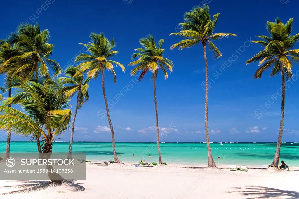 Beach of Punta Cana, the Dominican Republic