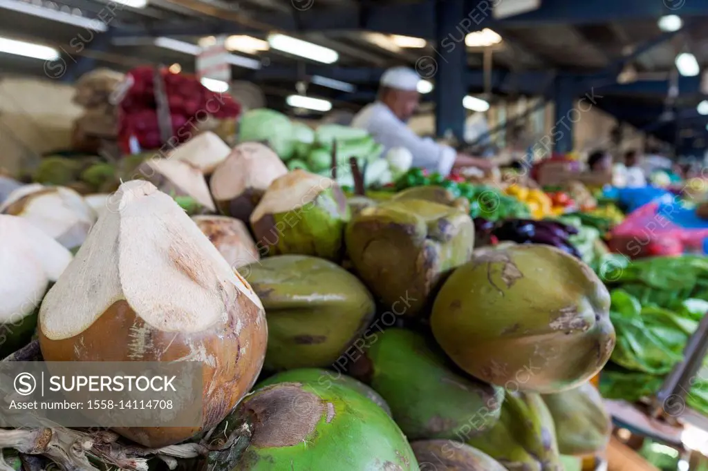 UAE, Dubai, Deira, Dubai Produce Market, coconut