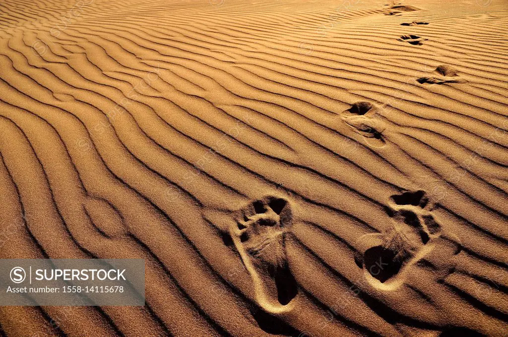 Footprints in golden Sand