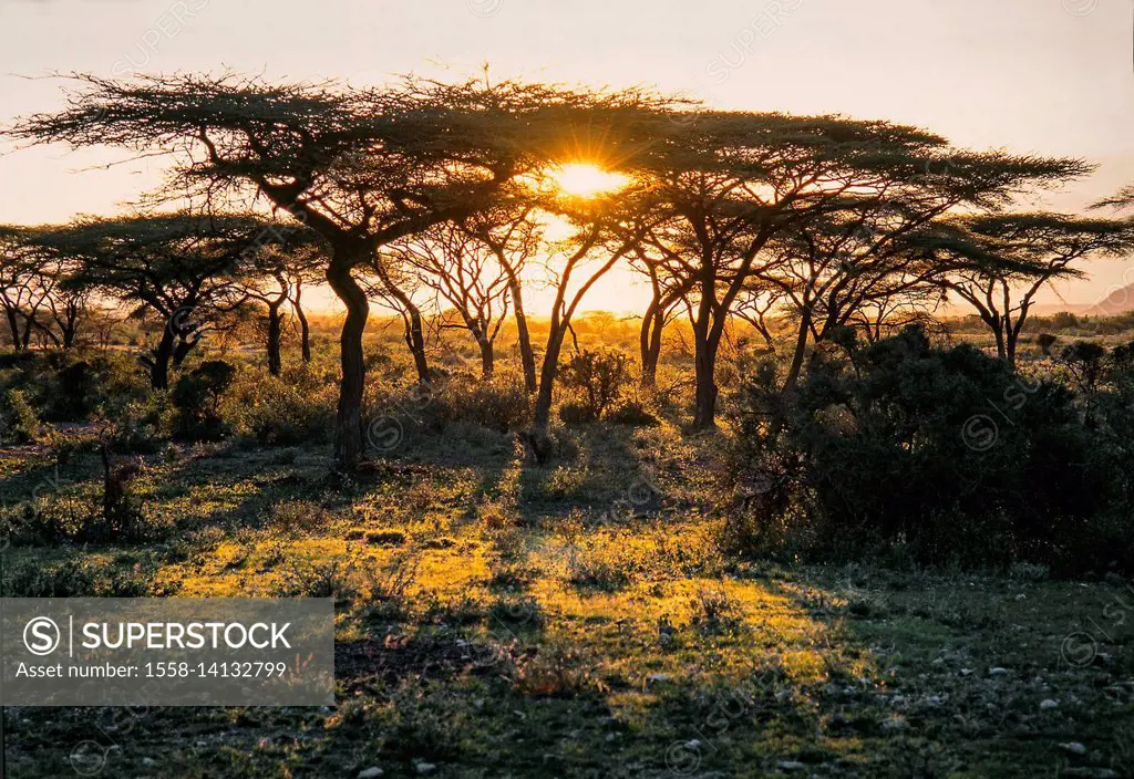 Sundown at the Massai Mara Nationalpark, Kenya