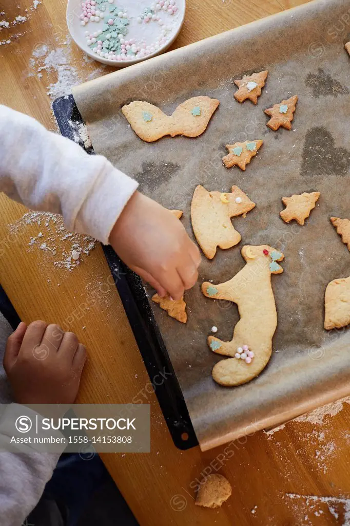 Girl baking christmas cookies, decoration, hands, sugar pearls, detail, from above,