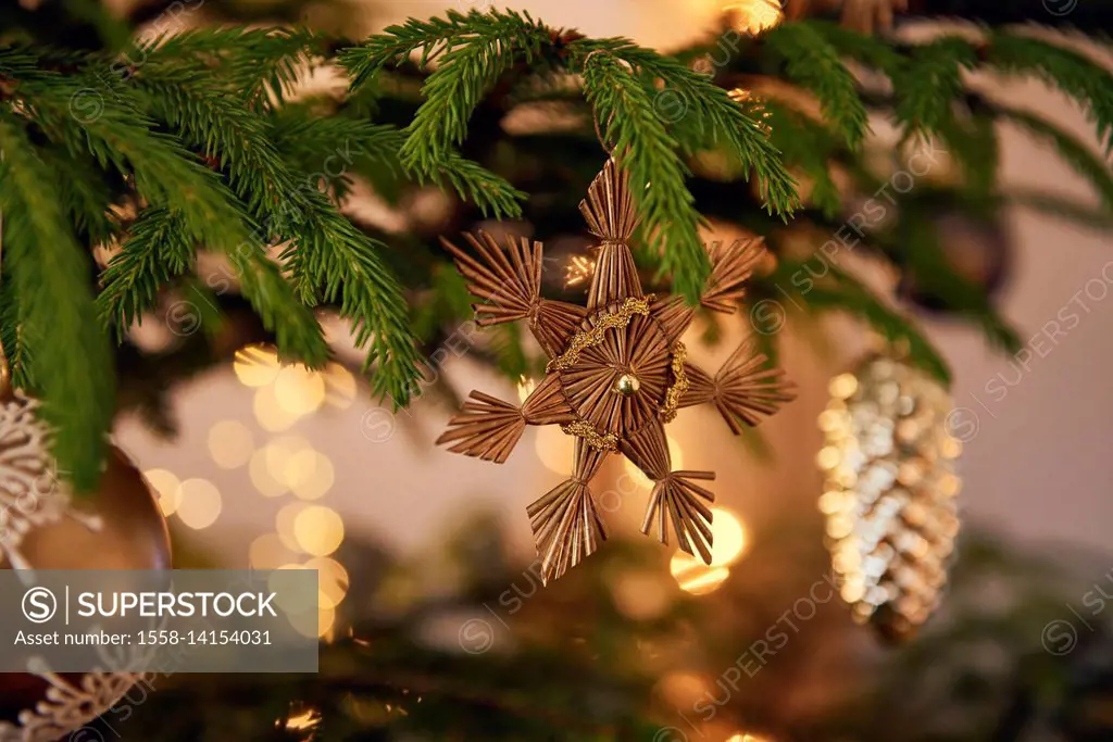 Christmas tree with decorations, Still life Christmas